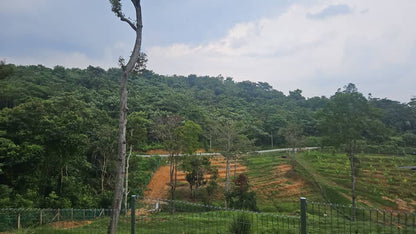 Tanah Pertanian 1 Ekar Freehold Untuk Di Jual - Rembau @ Negeri Sembilan