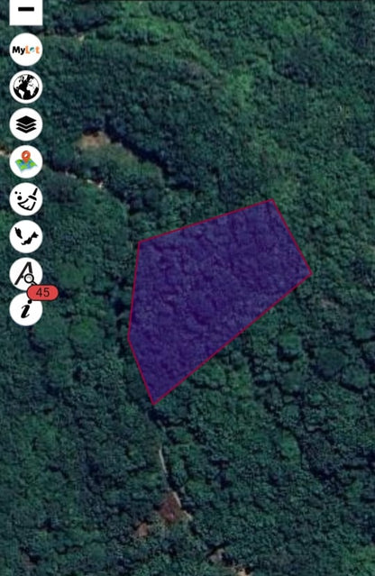 Tanah Pertanian 1 Ekar Freehold Untuk Di Jual - Rembau @ Negeri Sembilan