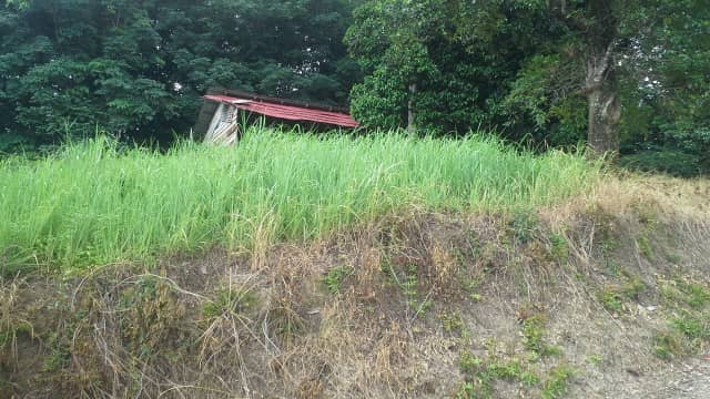 AGRICULTURAL LAND FOR SALE - KG SG PENCALA, KUALA LUMPUR