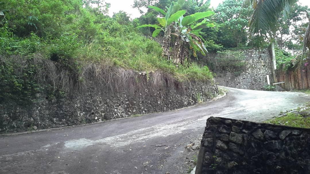 AGRICULTURAL LAND FOR SALE - KG SG PENCALA, KUALA LUMPUR