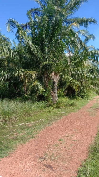 AGRICULTURAL LAND FOR SALE - MUKIM API-API, KUALA SELANGOR, SELANGOR