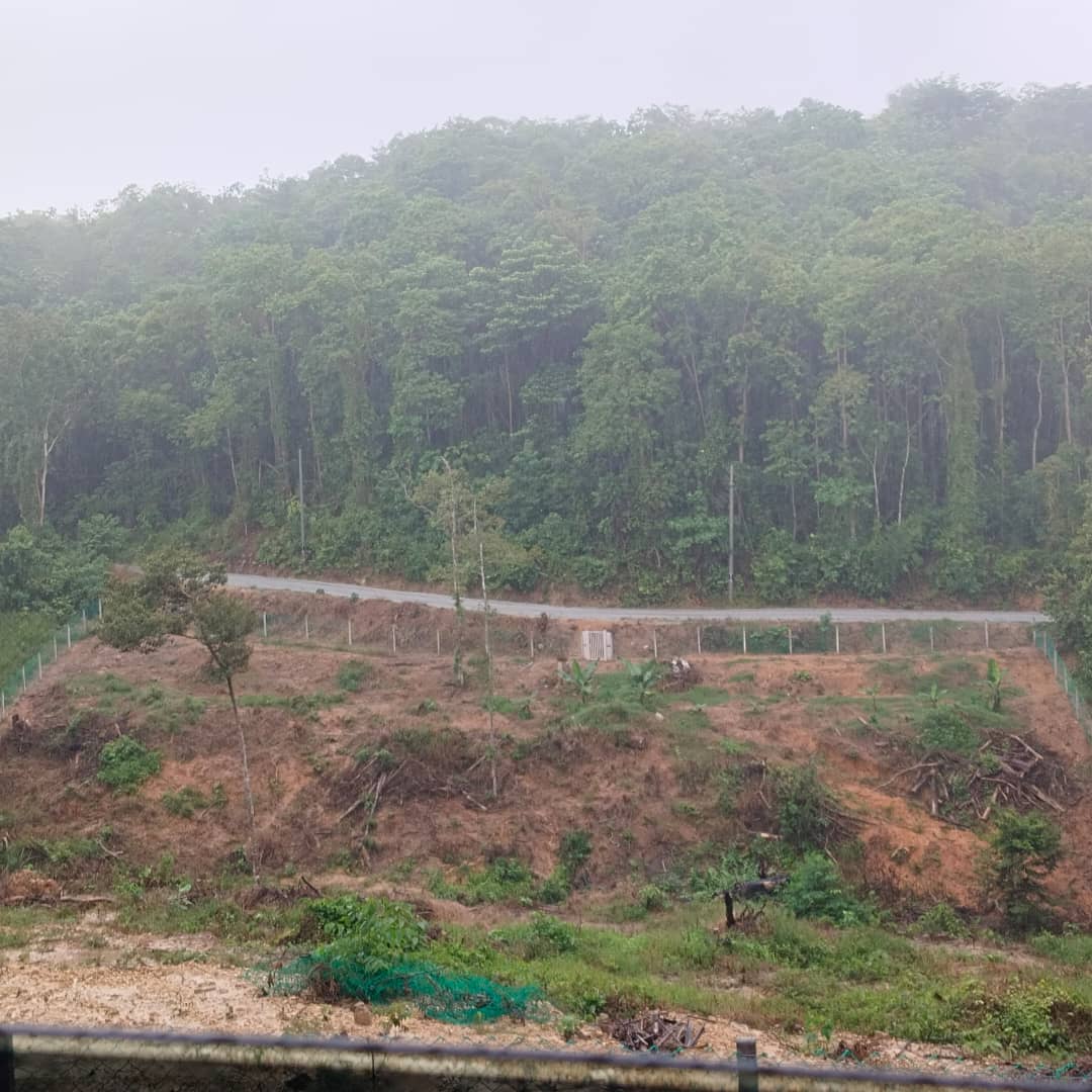 Tanah Pertanian 1 Ekar Freehold Untuk Di Jual - Rembau @ Negeri Sembilan