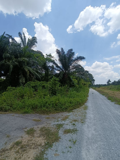 TANAH PERTANIAN BAWAH PASARAN UNTUK DIJUAL– DENGKIL SEPANG