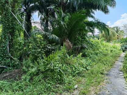 TANAH PERTANIAN BAWAH PASARAN UNTUK DIJUAL– DENGKIL SEPANG